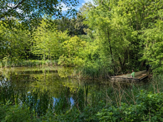 dejeuner sur l'herbe paris