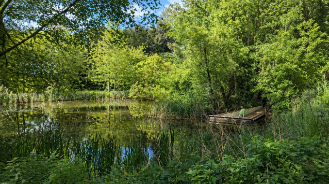 dejeuner sur l'herbe paris